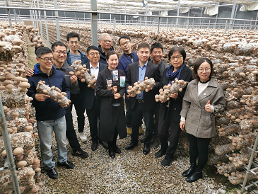 設(shè)施食用菌研發(fā)邁入智能化新階段——國家重點研發(fā)計劃課題中期檢查會暨香菇液體菌種現(xiàn)場會在豫召開