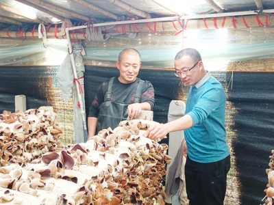 魚臺影像 毛木耳特色產(chǎn)業(yè)催農(nóng)富，科技研發(fā)引領(lǐng)食用菌新篇章